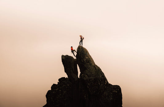 Leading AI Transformation: Strategy, Culture, and Governance